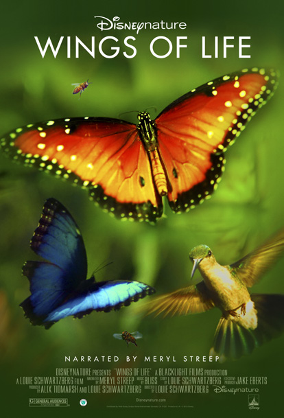 Wings of Life (2013)